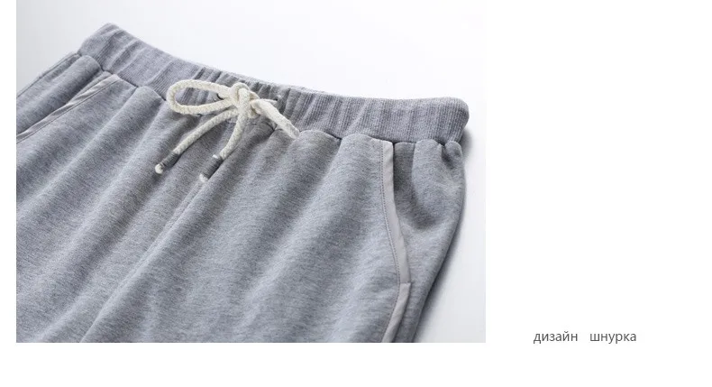 HTB1pzoiPXXXXXcwXpXXq6xXFXXX2