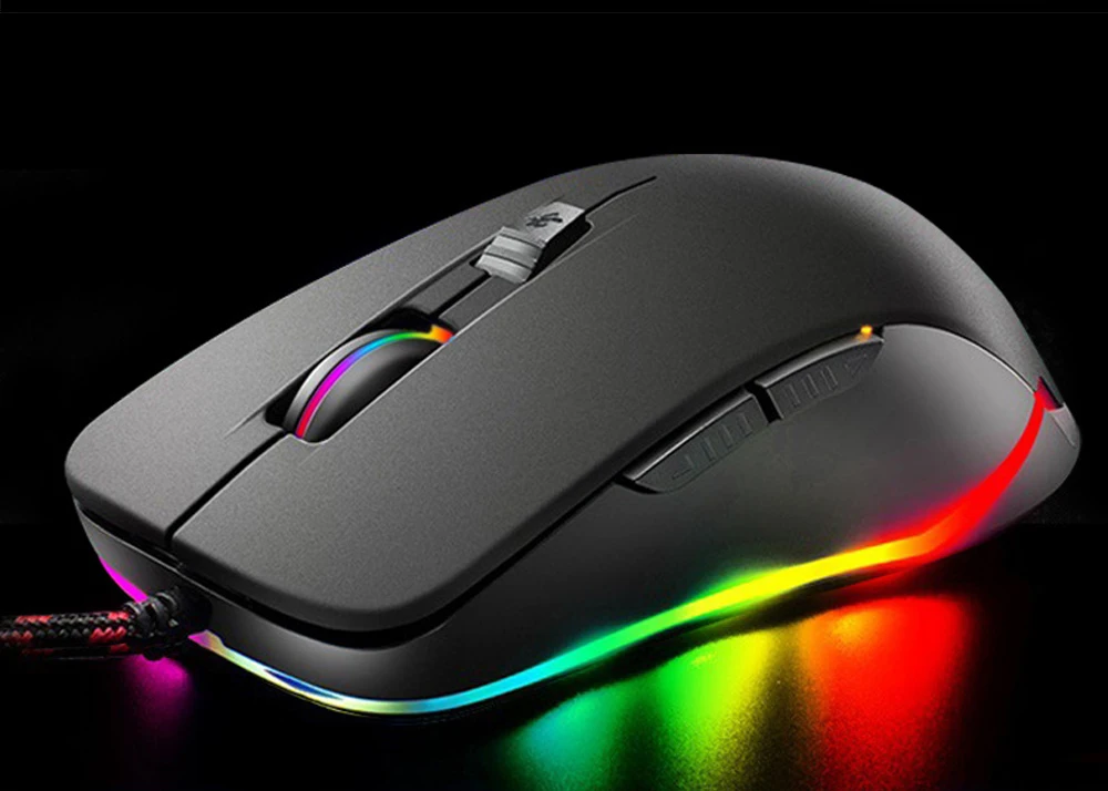 Mouse-2_05