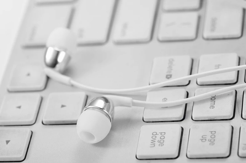 Wallytech W802 Metal earphone silver 11