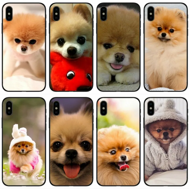 

Pomeranian dogs dog Cover Soft Silicone black Phone Case For iPhone 6 6plus 7 8plus 5 5S 5C SE X XS XR XS Max