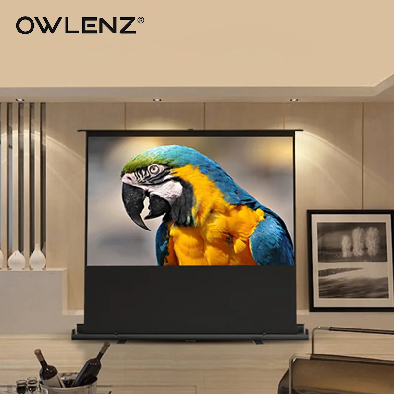 OWLENZ 80" Portable Projector Screen 43 Foldable Projection Floor