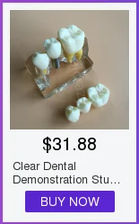 Modelo de Gesso Molde de Base de Silício Dental Bloco Completo-roxo Suprimentos Edentulous Jaw 2 Pçs - Set 6 Dental Modelo De Gesso Molde de Base