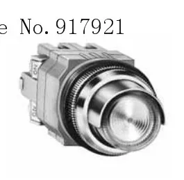 

[ZOB] ALGN22211DNR idec imported from Japan and the spring AOLGN22611DG Illuminated Pushbutton 30mm opening --2PCS/LOT