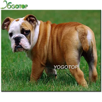 

YOGOTOP DIY Diamond Painting Cross Stitch English Bulldog 5D Diamond Embroidery Animal dog Full Drill Mosaic Home Decor QA336