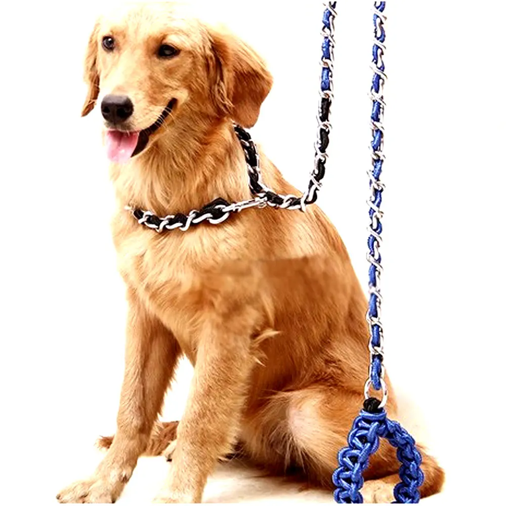 Online Buy Wholesale dog show leads and collars from China dog show