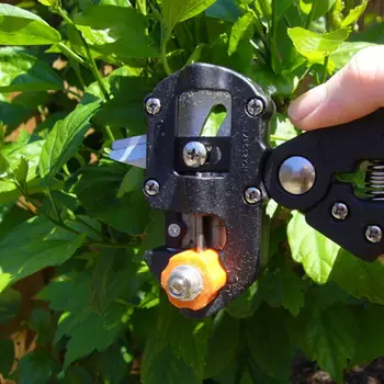

Gardening Grafting Scissors Fruit Tree Pruning Pruner Shears Cutting Tools for Nursery Garden Plants Vaccination Farming Tool
