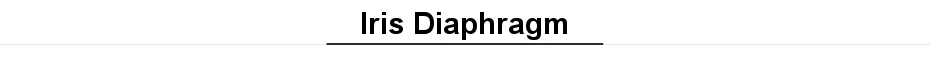 dianxiaobao