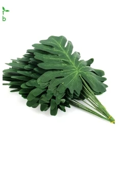 dianxiaobao