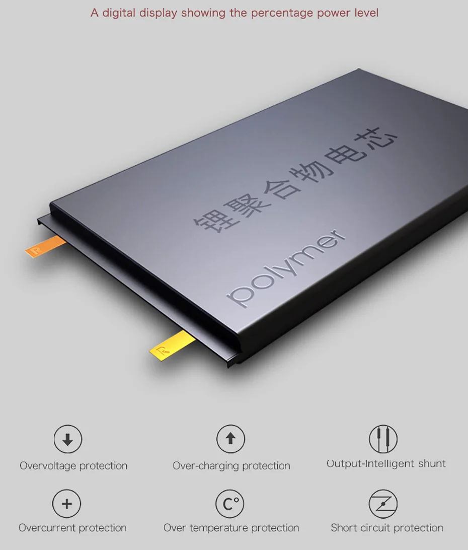 10000mAh  (6)