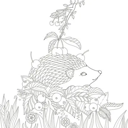 Elven Forest Adult Coloring Book Secret Garden Style Relieve Stress Kill Time Antistress Painting Books In From Office School