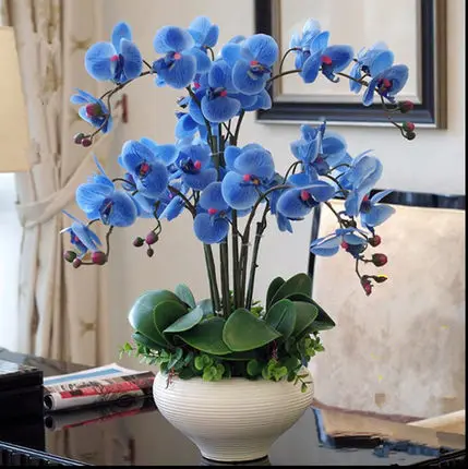 

1 set designed orchid Phalaenopsis real touch flower high grade table flower arrangement like real flower blue white purple