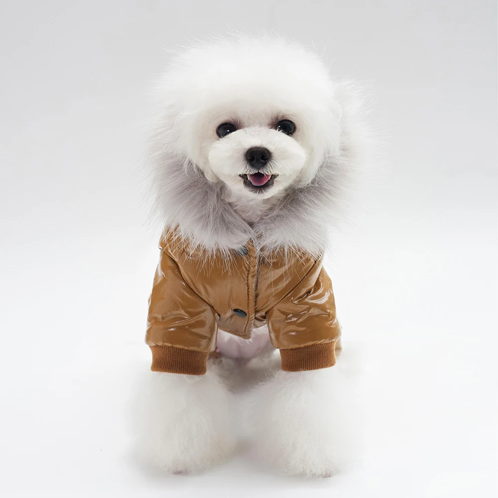 Одежда с принтом в виде собак теплая одежда для собак, одежда для собак, куртка собачий Костюмы для кошек для Одежда для домашних питомцев щенков Чихуахуа 3