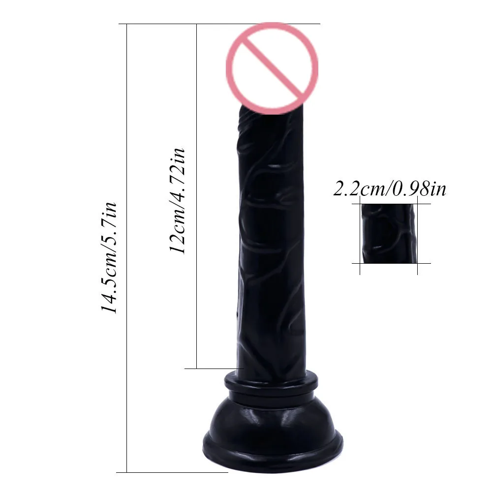 9005023888_1769561285