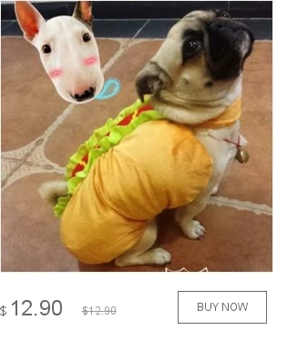 dianxiaobao
