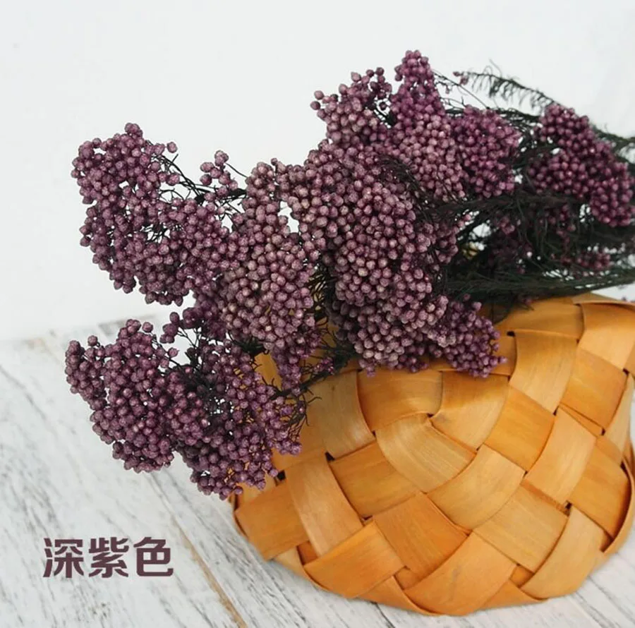 永生米花(爱考拉电子)-深紫