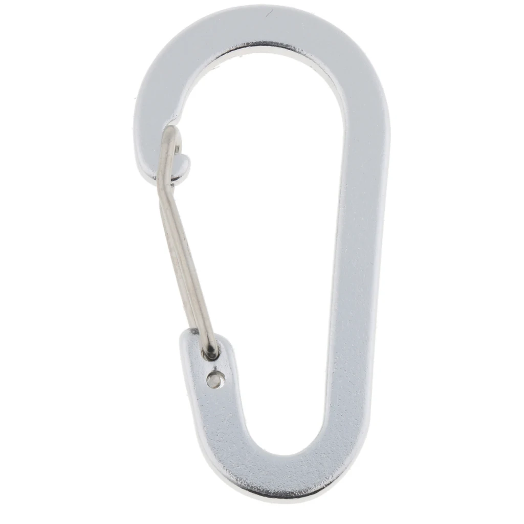 10Pcs Aluminium Carabiners Clip Snap Keychain Clip Spring Key Chain Clip Hook Buckle for Camping Hiking Dog Leash Harness