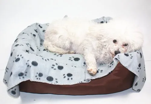 81vOY+LllAL._SL1500_