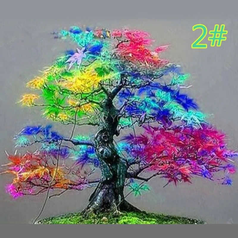 

Japanese Maple Seed Bonsai DIY Plant Flower Pot Colorful Leaves Creative Household Home Mini Gardening Decor