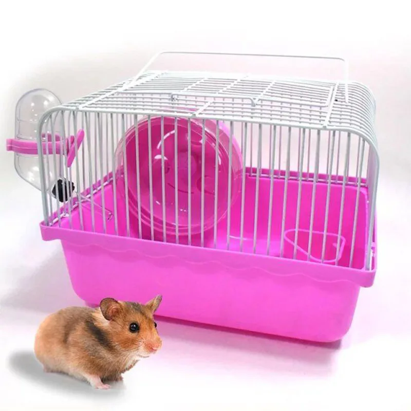 Pet hamster