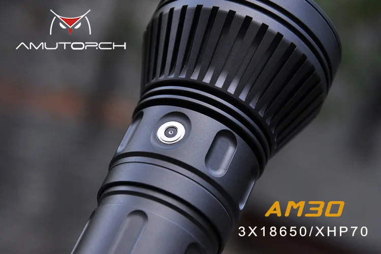 AM307