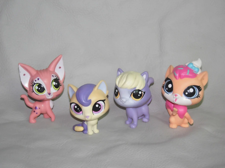 cat play house action