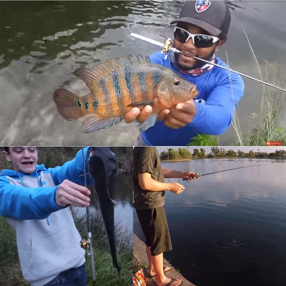 Goture البسيطة الصيد رود كومبو خفيفة الوزن المحمولة جيب تلسكوبي الصيد قضيب مع الغزل بكرة عجلة جميع ل صيد السمك Goture البسيطة الصيد رود كومبو خفيفة الوزن المحمولة جيب تلسكوبي الصيد قضيب مع الغزل بكرة عجلة جميع ل صيد السمك