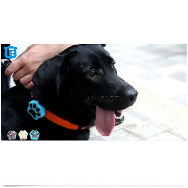 Inteligente de Atividade com Gps à Prova D'água com Wifi Localizador de Chave e Coleira para Animais de Estimação Mini Rastreador - Image 5