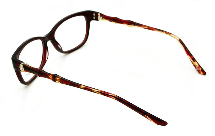  Luxury Eyeglass Frames   (20)