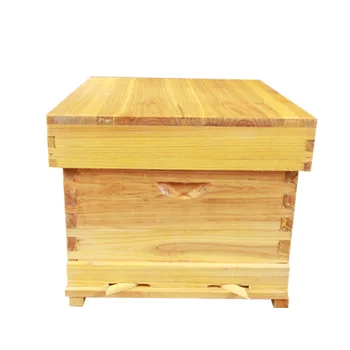 

Boiled Wax Bees In Bee Hives Package Full Set Of Bee Beekeeping Tools Mifeng Special Standard Ten Box Pine Flat Box