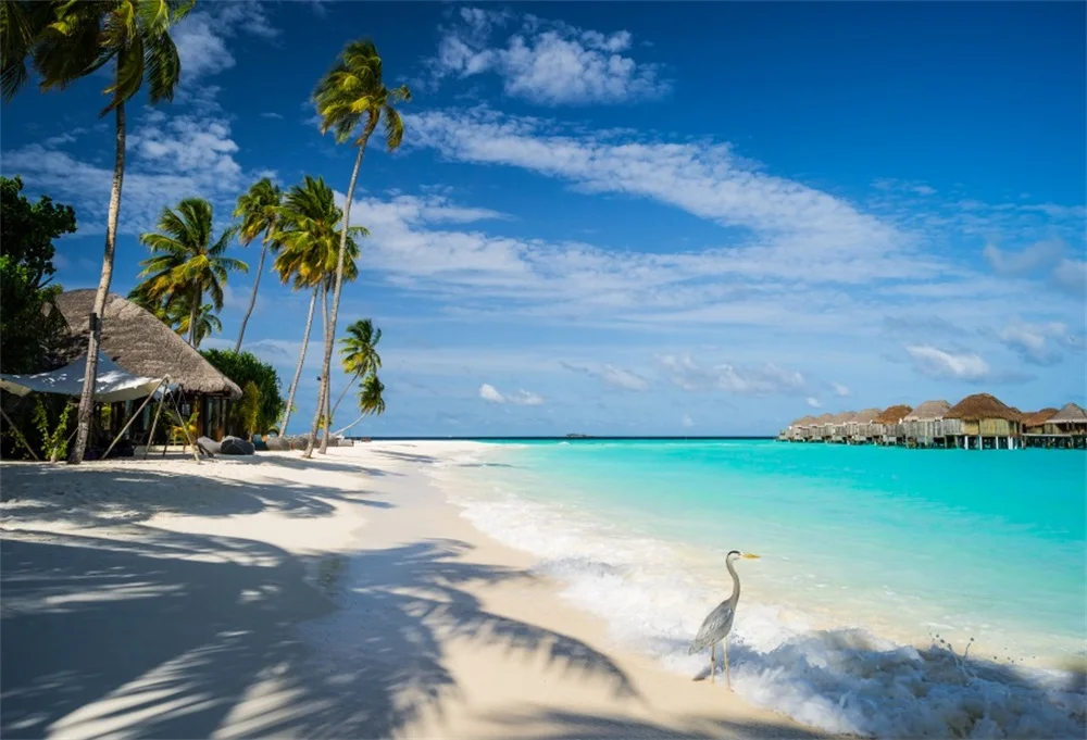 

Laeacco Tropical Sea Wave Palm Tree Shadow Duck Cloud Scenic Photographic Backgrounds Photography Backdrops For Photo Studio