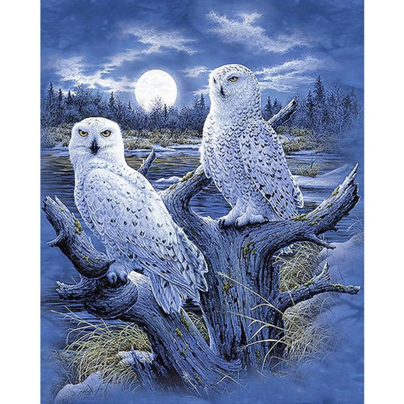

5D Diy Daimond Painting "Winter OWLs" 3D Diamond Paintings Full Round Rhinestones Painting Diamant Embroidery Animals home Decor
