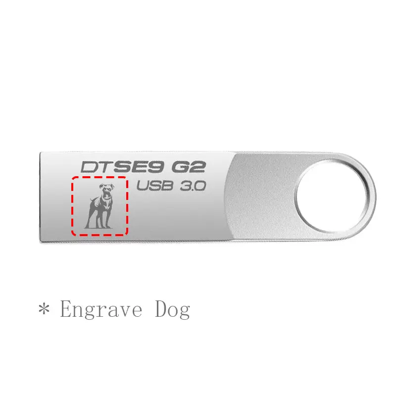 ФлешкаKingston USB Flash Drive 16 ГБ USB 3.1 Pendrive Водонепроницаемый металлический Memoria мини Придерживайтесь diy craft company logo U Диск 16 ГБ pen drive флешка 16 гб - Цвет: E9-G2-Dog