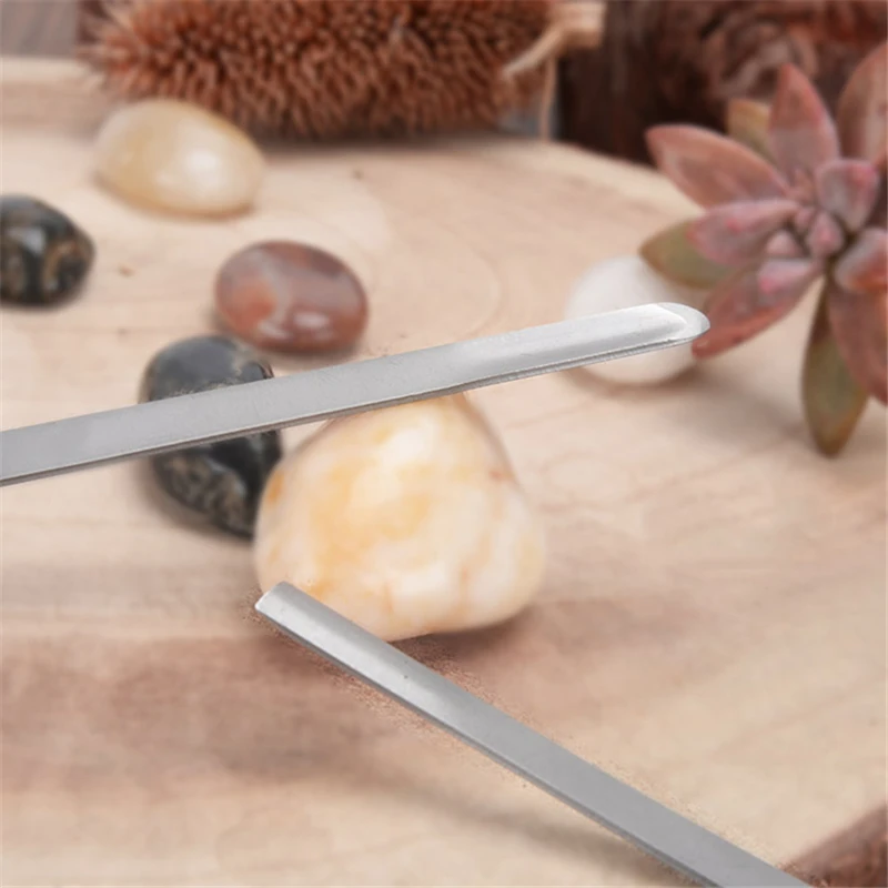 2pcs-set-Bonsai-tools-stainless-steel-succulent-plants-Pruning-knife-Cuttings-transplant-Pruning-tools (2)