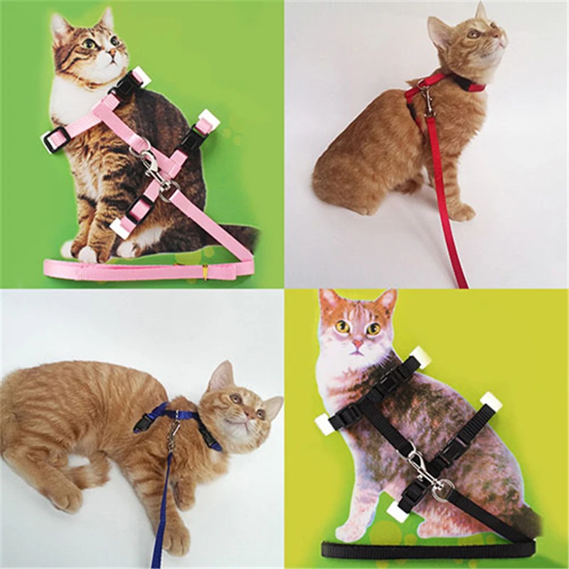 

New Adjustable Nylon Cat Dog Collar Harness And Leash Pet Traction Cat Kitten Halter Collar Cats Products For Pet Harness Belt