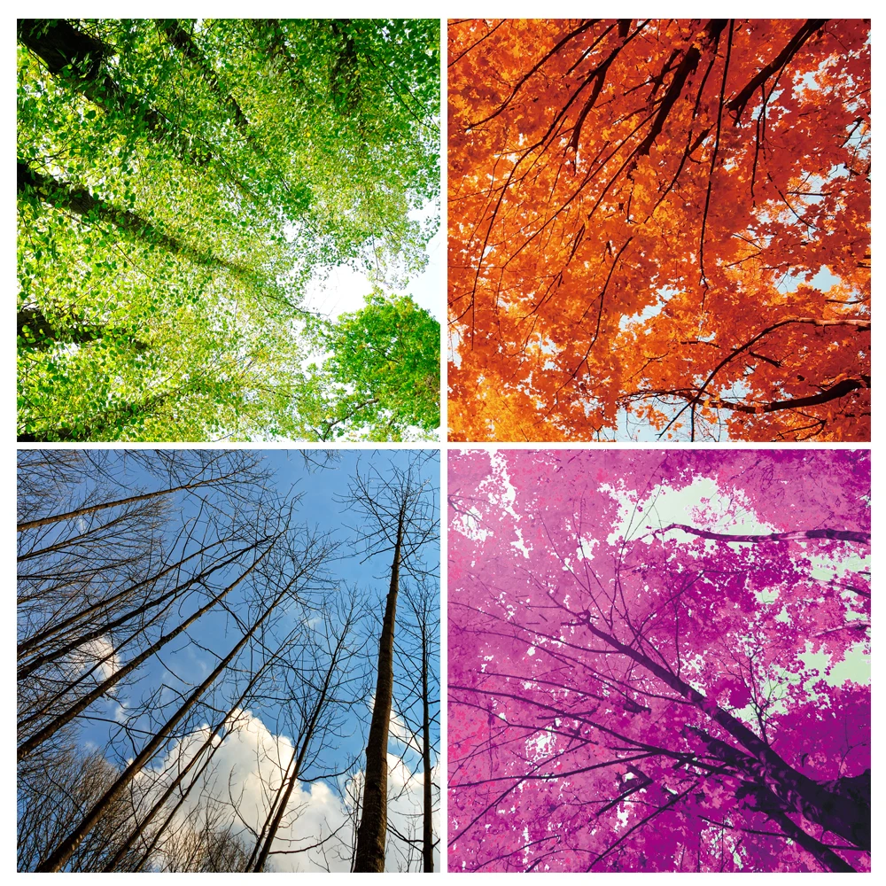 ==> [Free Shipping] Buy Best BANMU Paintings Art Pictures Canvas Poster 4 Pieces Online with LOWEST Price