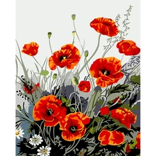 Новейший цифровой DIY картина маслом в красных тонах Маки выполненные Картина на холсте искусство украшения дома Настенная картина ручной работы по номерам