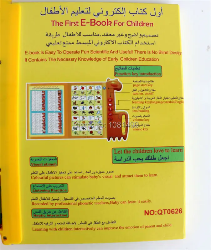 the electronic book