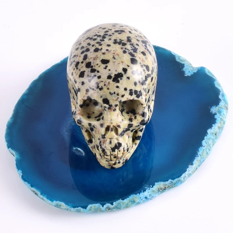 

Natural dalmatian skull figurine With blue Agate Slice Mat Feng shui healing Stone Home Ornament art collectible 2 inch