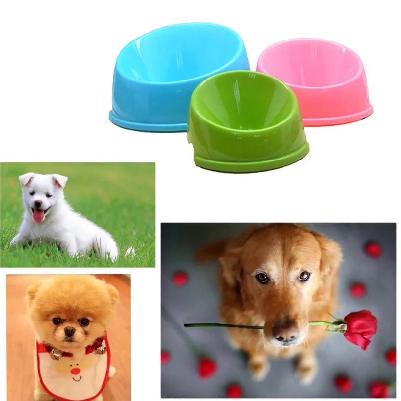 

Pet Cat Puppy Plastic Food Feeding Water Drinking Diagonal Bowl Candy Color Professional Factory price Drop Shipping