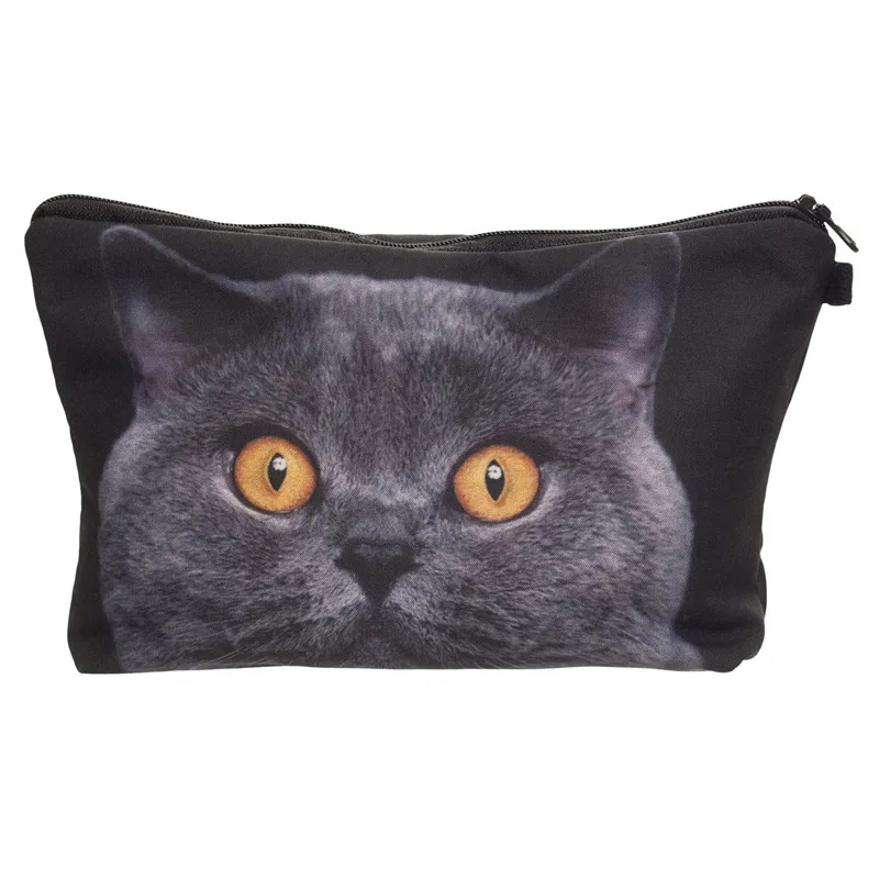 Who`s this перевод. Пенал с книгами картинка. Предметы в классе на английском. Кейс пенал точка роста презентация. Whose is this pencil case.