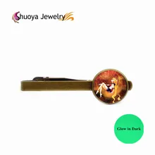 Glow В Dark Сейлор Мун Зажимы Для Галстука S & Y 2016 Мода Высокого качество Позолоченные Стекла Зажимы Для Галстука Сейлор Мун Для Мужчин Подарок