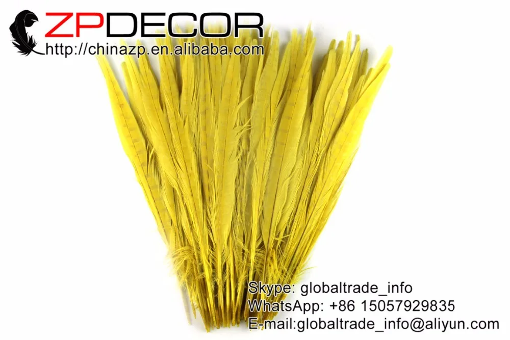 yellow ringneck pheasant feathers (5)