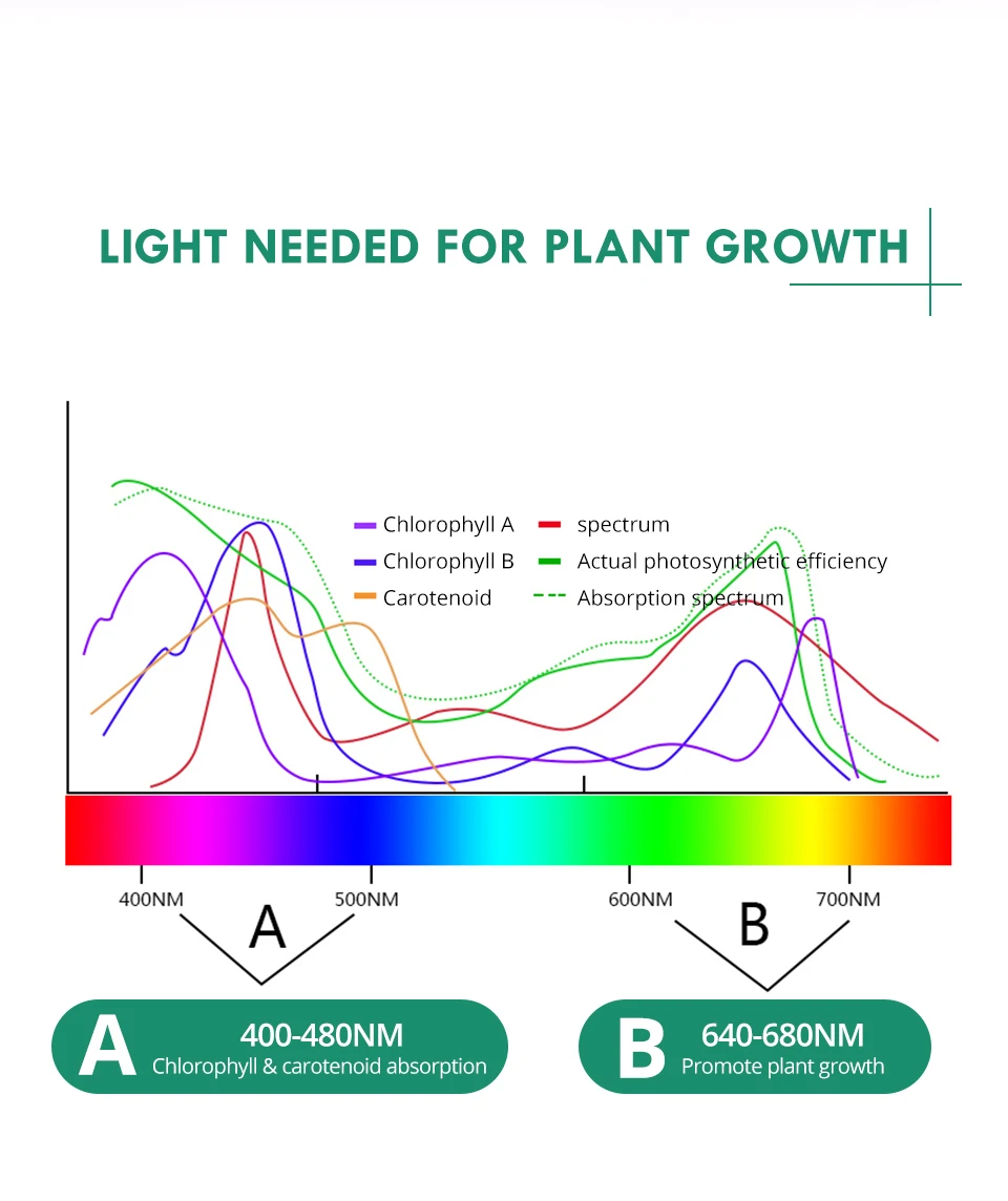Fitolampy LED Full Spectrum Plant Grow Light 1000W 1200W Double Chip Growing Lamp for Seedlings Flower Hydroponic 85-265V Tent