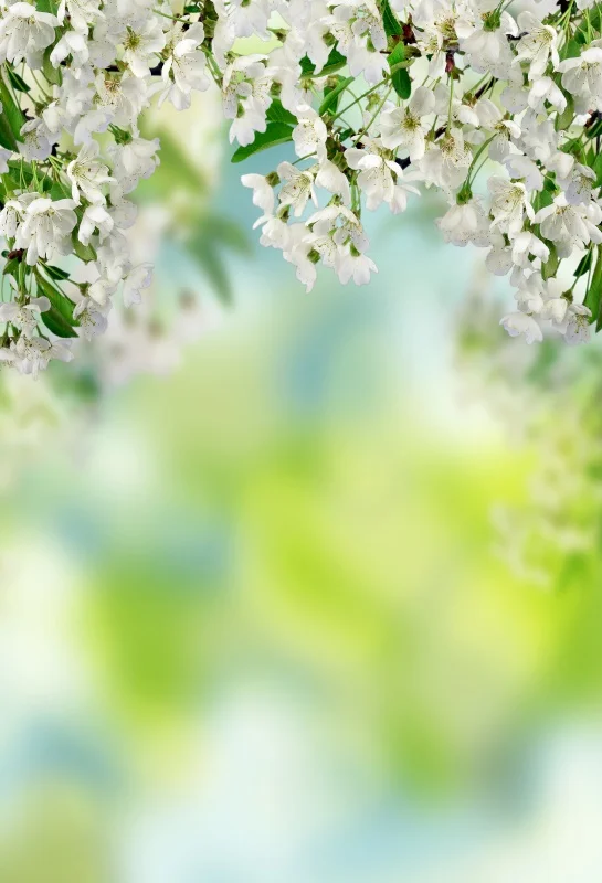 

Laeacco Spring Flowers Light Bokeh Baby Wooden Board Photography Backgrounds Customized Photographic Backdrops for Photo Studio