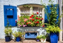 Laeacco Arch Window Flower Mailbox Photography Backgrounds Thin Vinyl Digital Customized Photographic Backdrops For Photo Studio customized thin vinyl floral photography backdrops valentine photo backgrounds for photo studio background photophone