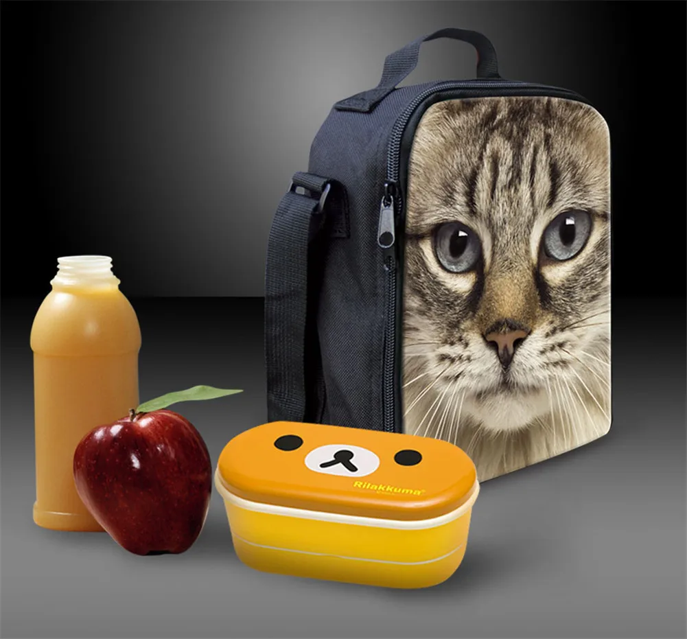 Thikin Casual Cartoon cat Pattern Lunch Bags for Teen Boys Fashion Portable Cooler Box Cartoon Pattern Tote Picnic Pouch