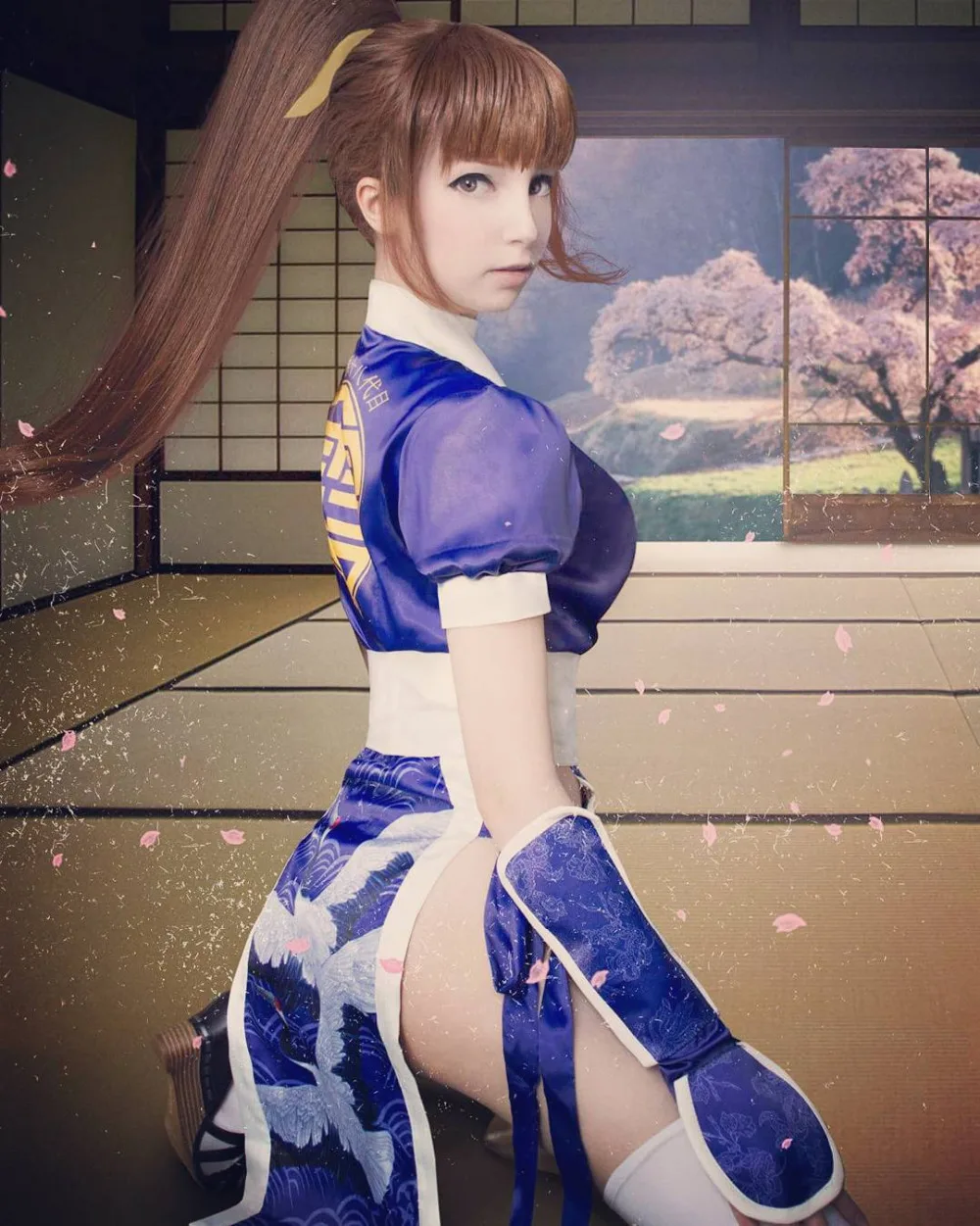 Dead or Alive DOA: Dead or Alive Kasumi, карнавальный костюм для женщин и мужчин, карнавальные костюмы на Хэллоуин