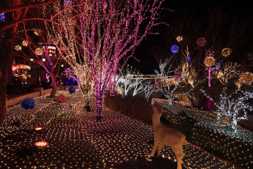 9262996648_1681222237