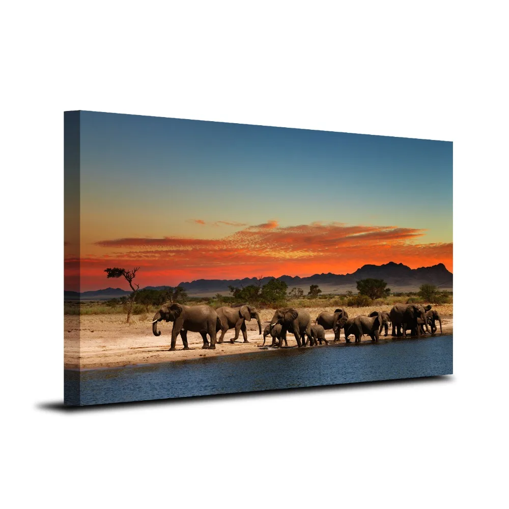 Online kopen wholesale olifant wandkleden uit china olifant ...
