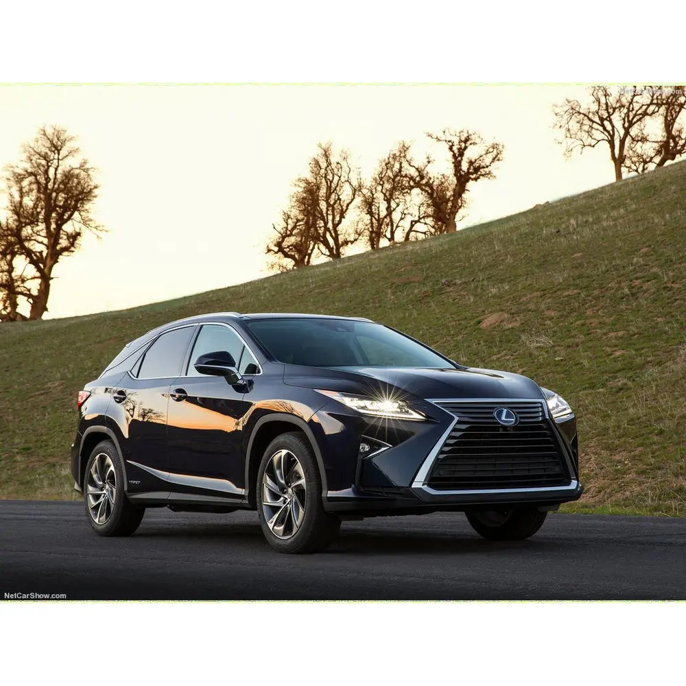 

Free Shipping 2pc car-styling Car Led Lamp Front and Rear light sources For Lexus RX350 RX450h 2016 (USA)